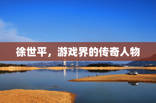 徐世平，游戏界的传奇人物