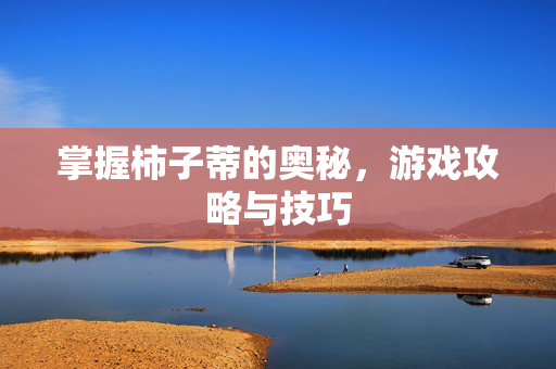 掌握柿子蒂的奥秘，游戏攻略与技巧