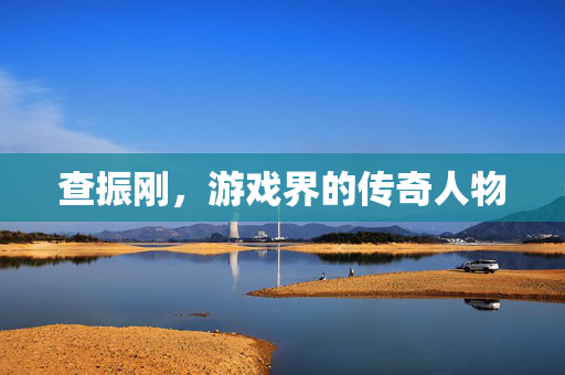 查振刚，游戏界的传奇人物