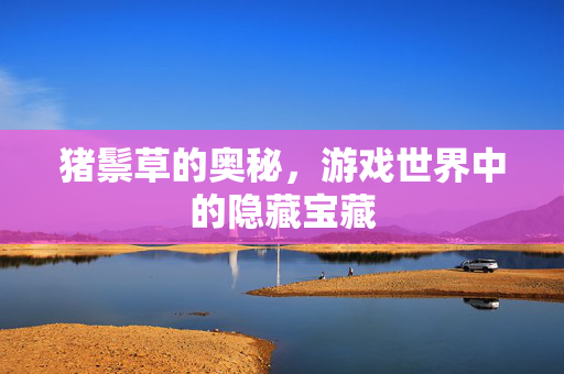 猪鬃草的奥秘，游戏世界中的隐藏宝藏