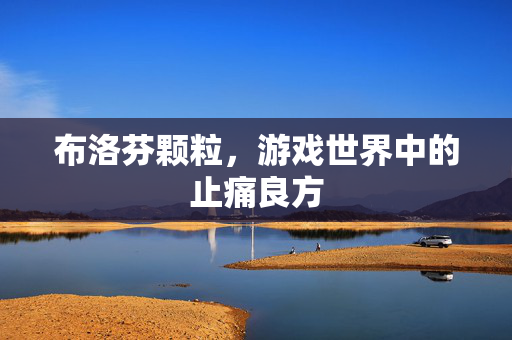 布洛芬颗粒，游戏世界中的止痛良方