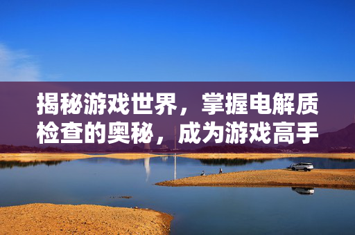 揭秘游戏世界，掌握电解质检查的奥秘，成为游戏高手！