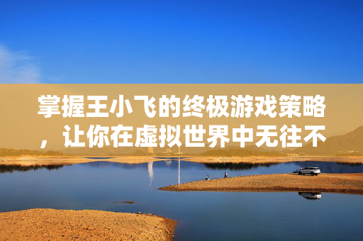 掌握王小飞的终极游戏策略，让你在虚拟世界中无往不胜！