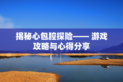 揭秘心包腔探险—— 游戏攻略与心得分享