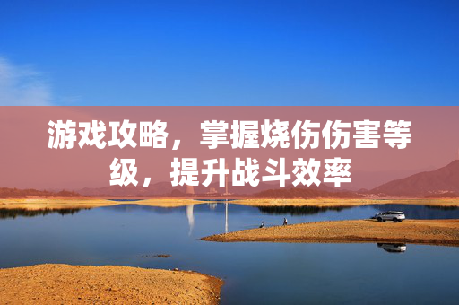 游戏攻略，掌握烧伤伤害等级，提升战斗效率
