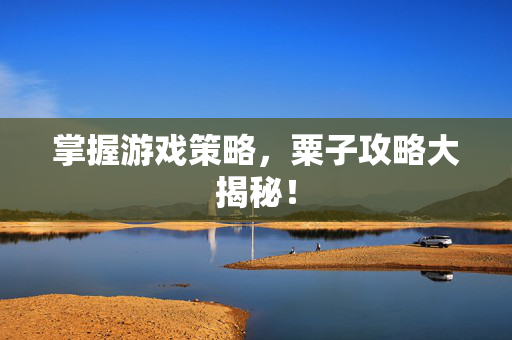 掌握游戏策略，粟子攻略大揭秘！