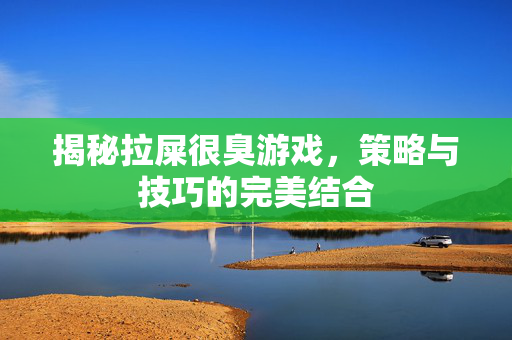 揭秘拉屎很臭游戏，策略与技巧的完美结合