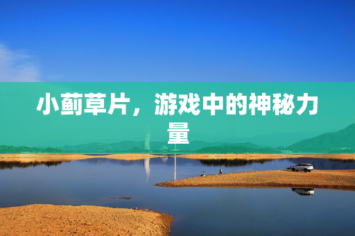 小蓟草片，游戏中的神秘力量