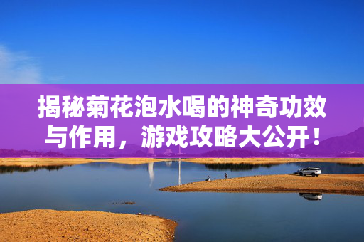 揭秘菊花泡水喝的神奇功效与作用，游戏攻略大公开！