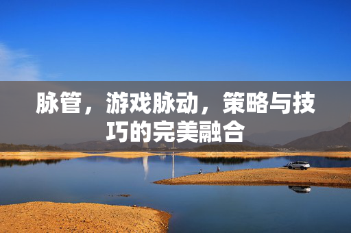 脉管，游戏脉动，策略与技巧的完美融合
