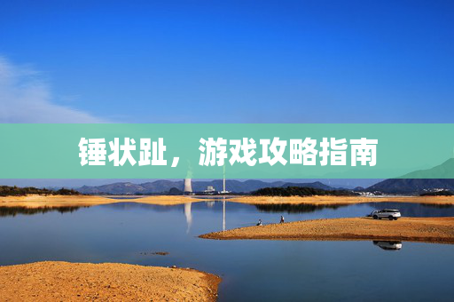 锤状趾，游戏攻略指南