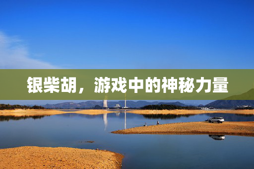 银柴胡，游戏中的神秘力量