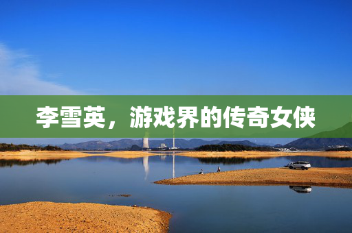 李雪英，游戏界的传奇女侠