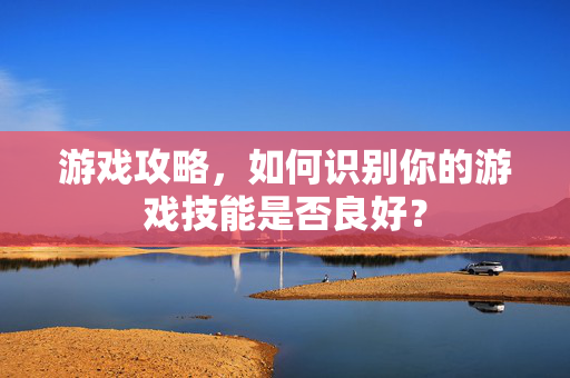 游戏攻略，如何识别你的游戏技能是否良好？