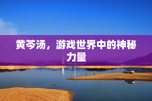 黄芩汤，游戏世界中的神秘力量