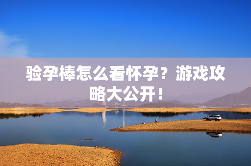 验孕棒怎么看怀孕？游戏攻略大公开！