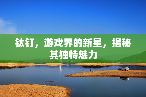钛钉，游戏界的新星，揭秘其独特魅力