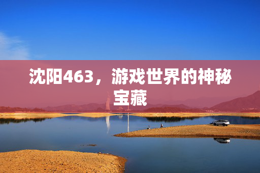 沈阳463，游戏世界的神秘宝藏