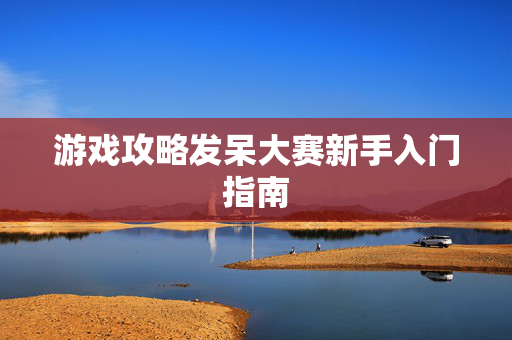 游戏攻略发呆大赛新手入门指南