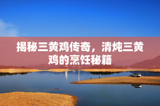 揭秘三黄鸡传奇，清炖三黄鸡的烹饪秘籍