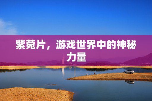紫菀片，游戏世界中的神秘力量