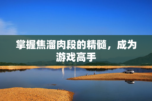 掌握焦溜肉段的精髓，成为游戏高手