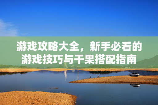 游戏攻略大全，新手必看的游戏技巧与干果搭配指南