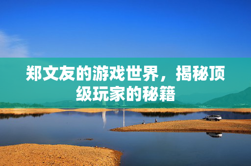 郑文友的游戏世界，揭秘顶级玩家的秘籍