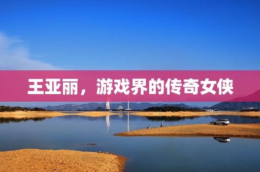 王亚丽，游戏界的传奇女侠