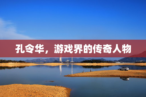 孔令华，游戏界的传奇人物