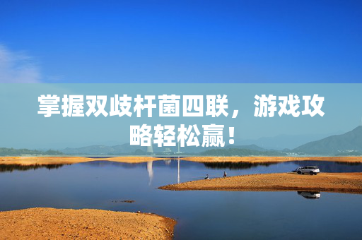 掌握双歧杆菌四联，游戏攻略轻松赢！