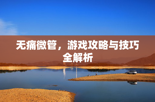 无痛微管，游戏攻略与技巧全解析
