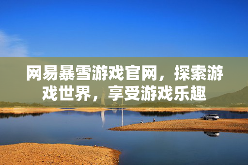 网易暴雪游戏官网，探索游戏世界，享受游戏乐趣