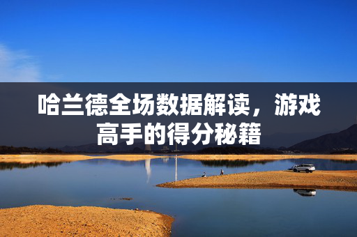 哈兰德全场数据解读，游戏高手的得分秘籍