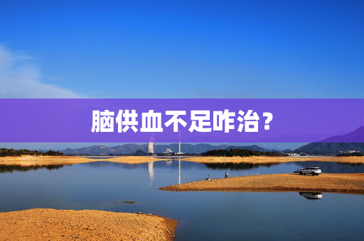 脑供血不足咋治？