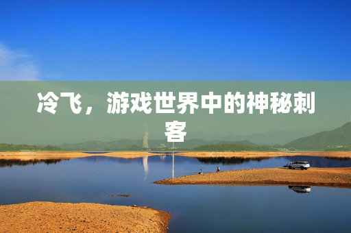 冷飞，游戏世界中的神秘刺客