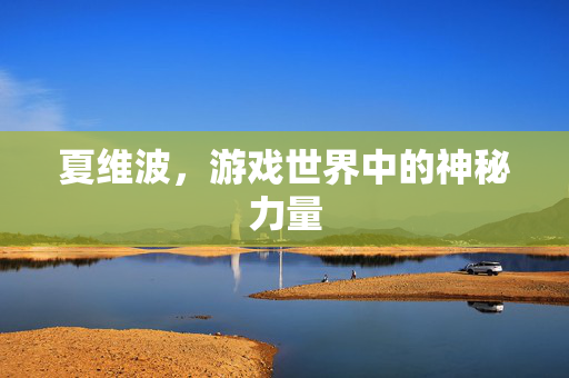 夏维波，游戏世界中的神秘力量