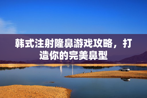 韩式注射隆鼻游戏攻略，打造你的完美鼻型