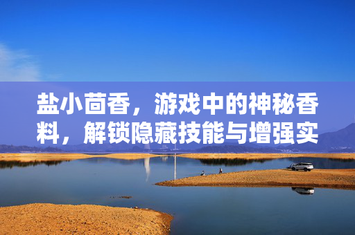 盐小茴香,游戏中的神秘香料,解锁隐藏技能与增强实力的秘密 盐小茴香,游戏中的神秘香料,解锁隐藏技能与增强实力的秘密