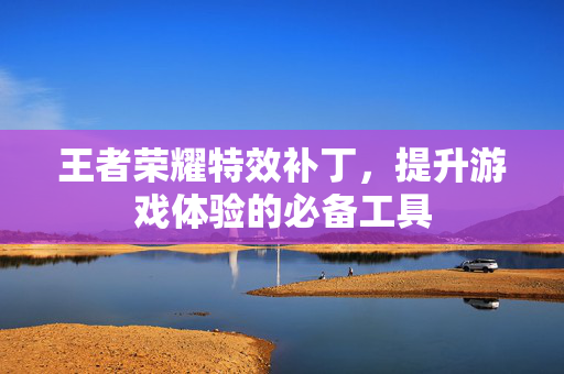 王者荣耀特效补丁，提升游戏体验的必备工具