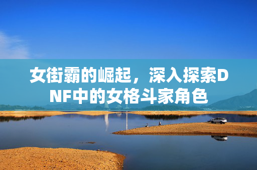 女街霸的崛起，深入探索DNF中的女格斗家角色