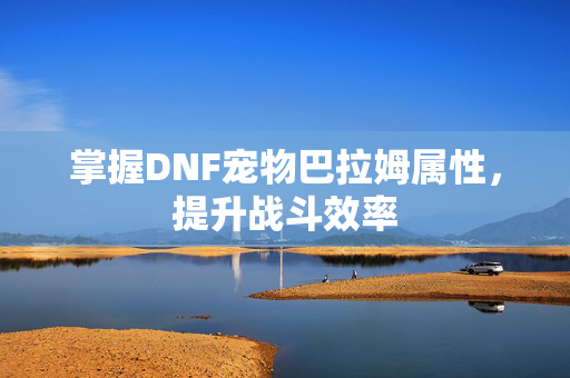 掌握DNF宠物巴拉姆属性，提升战斗效率