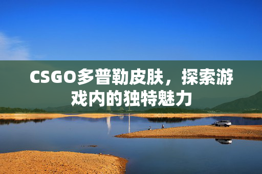 CSGO多普勒皮肤，探索游戏内的独特魅力