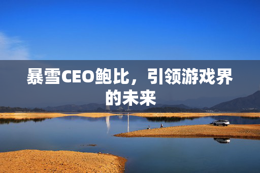 暴雪CEO鲍比，引领游戏界的未来