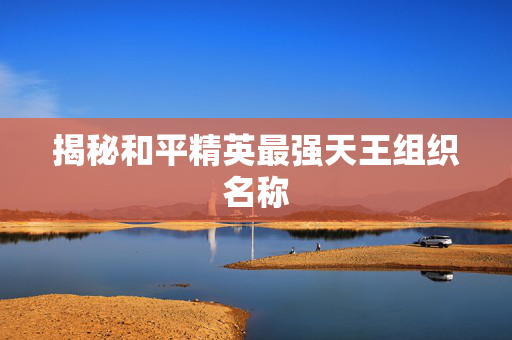 揭秘和平精英最强天王组织名称