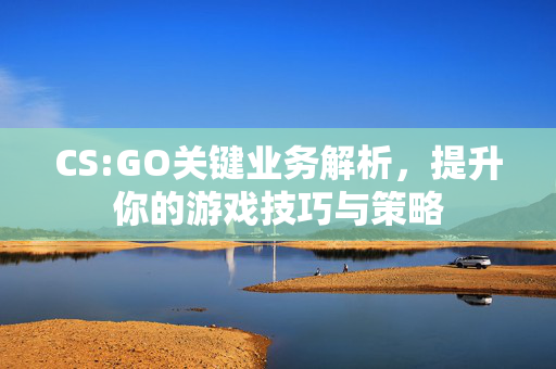 CS:GO关键业务解析，提升你的游戏技巧与策略