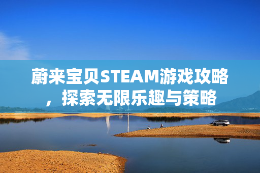蔚来宝贝STEAM游戏攻略，探索无限乐趣与策略