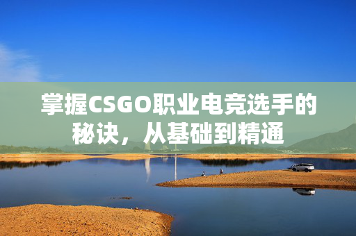 掌握CSGO职业电竞选手的秘诀，从基础到精通