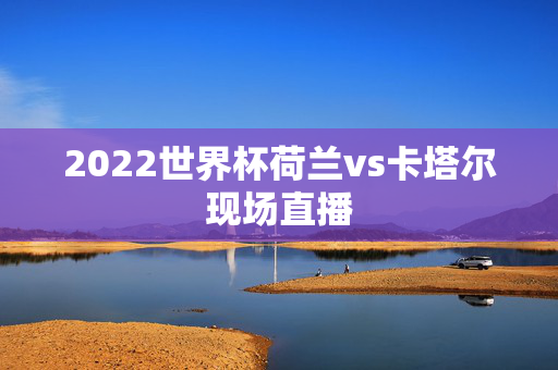 2022世界杯荷兰vs卡塔尔现场直播