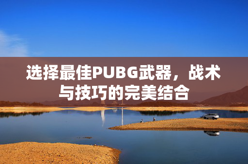 选择最佳PUBG武器，战术与技巧的完美结合
